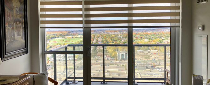Picture of zebra blinds